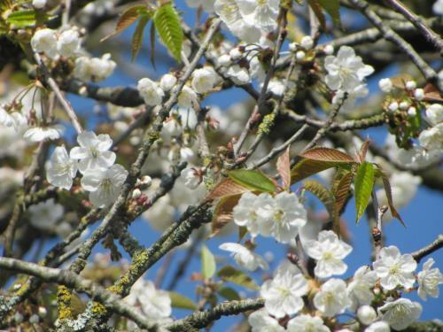 Les Charmes Du Petit Pr� Hostel