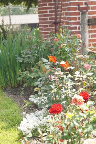 Les Charmes Du Petit Pr� Hostel