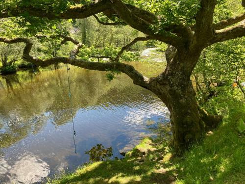 Riverbank Bed And Breakfast