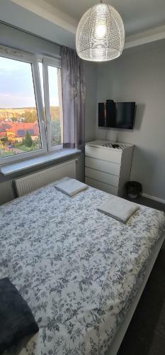 Pokoje ?eromskiego 1b