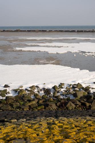 Appartement Walvis Nr. 22 Apartment