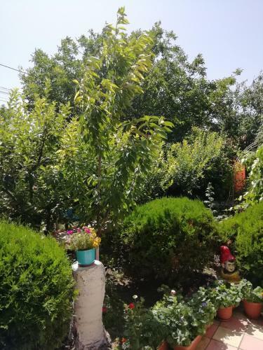 Studio Mickhail Apartment