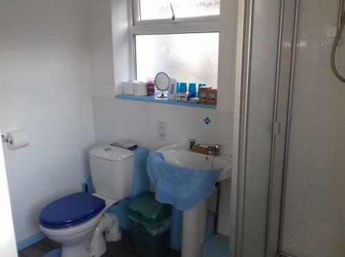 Driftwood Hotel Hostel