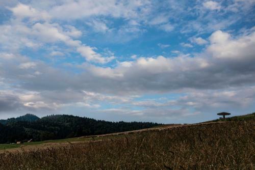 Somnium Pieniny