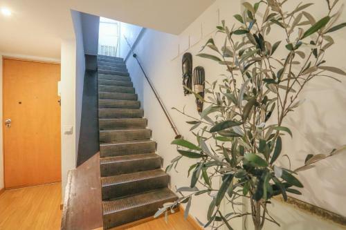 Calle Mata 16 Apartment