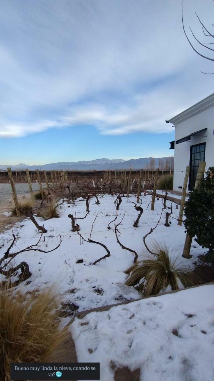 Viamonte Winery Lodge Hotel