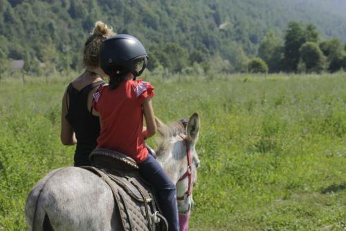 Wolf Village Rural Tourism