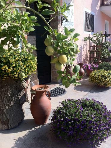 Cascina Sciulun Rural Tourism