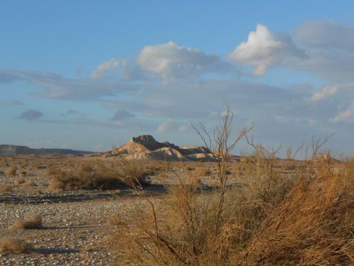Rotem`s Guest House