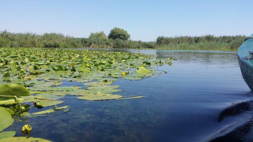 La Raducu Rural Tourism