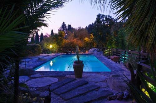 Pine Tree Lodge