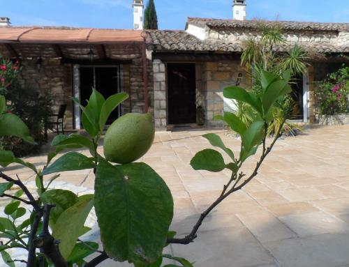 Mas Lou Souleil Bed & Breakfast