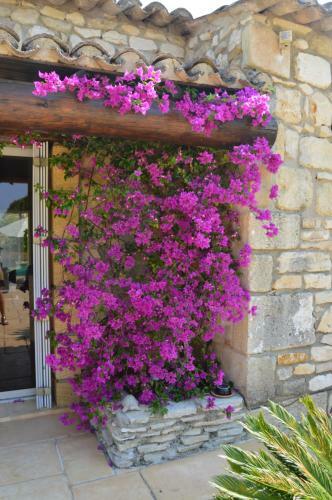 Mas Lou Souleil Bed & Breakfast