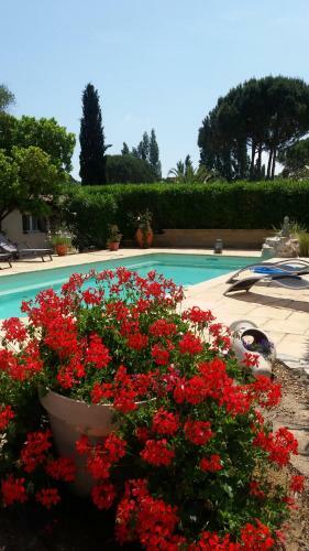 Mas Lou Souleil Bed & Breakfast
