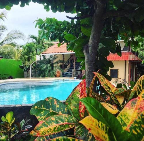 Flamingo Cabinas Hotel
