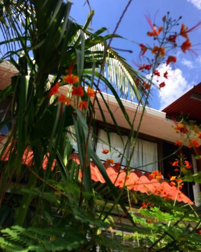 Flamingo Cabinas Hotel