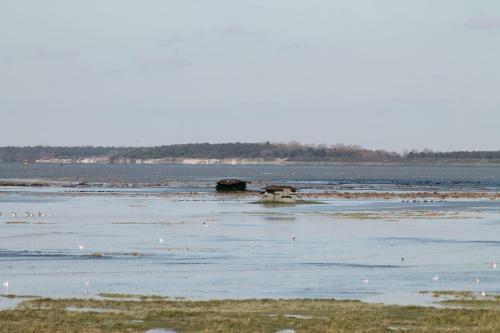 Camping De La Baie
