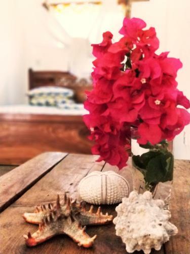 Simon House Bed & Breakfast