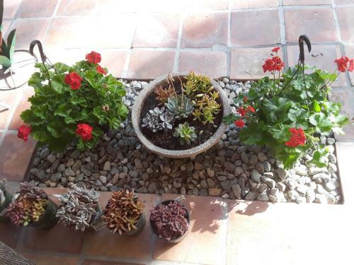 Villa3633 Bed & Breakfast