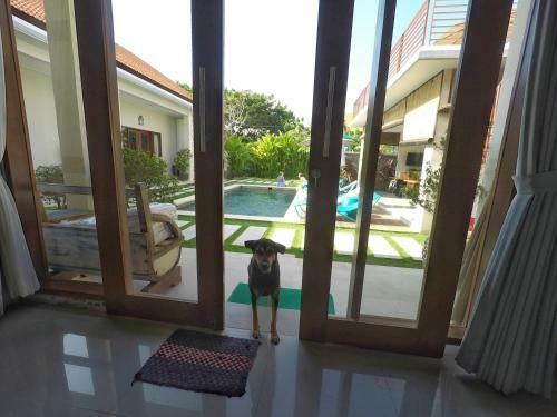 Waterborn Bali Hostel