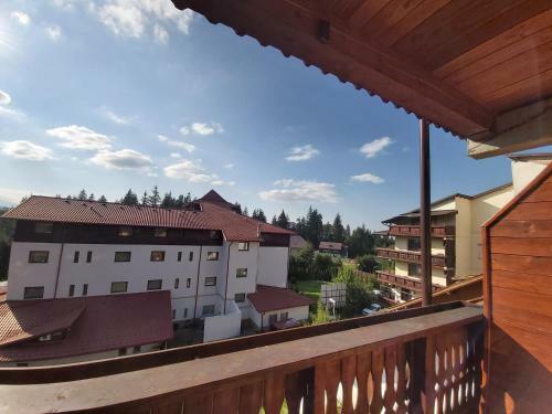 Studio Montana Apartments