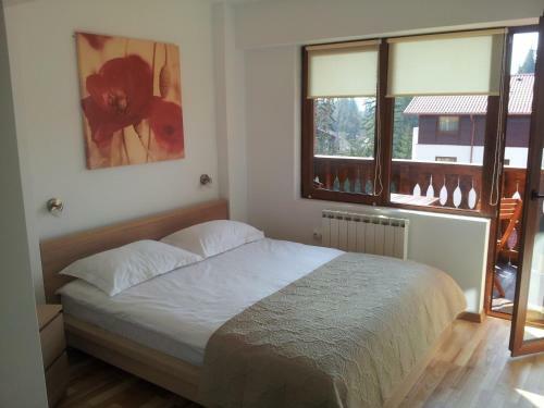 Studio Montana Apartments