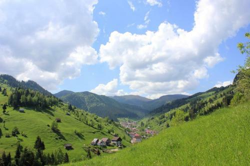 Ranger Chalet Hostel