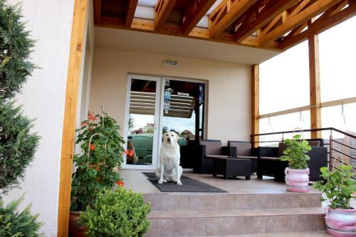 Vila Carlos Hostel