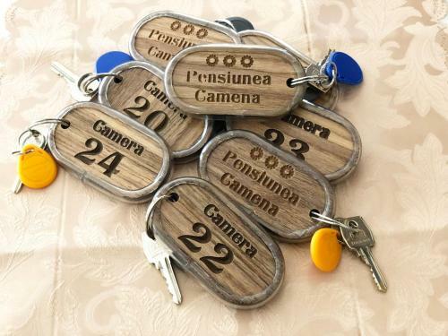 Pensiunea Camena Hostel