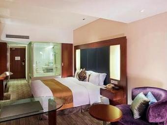 Holiday Inn Pudong Shanghai Hotel