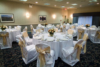 Holiday Inn Chicago-willowbrook-hinsdale Hotel