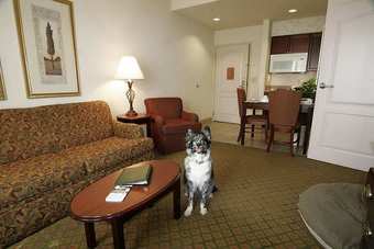 Homewood Suites By Hilton Memphis-hacks Cross Tn Hotel