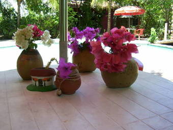 View photos