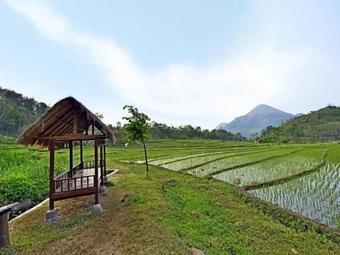 View photos