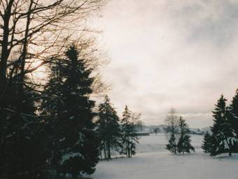 View photos