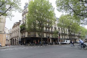Boulevard Saint Germain Apartment
