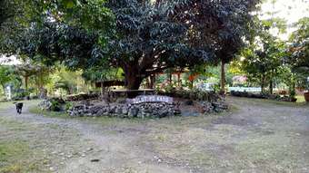 View photos