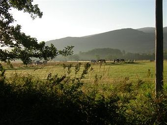 View photos