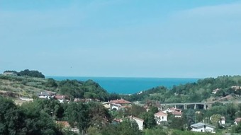View photos