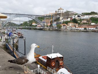 Porto River House Apartments