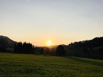 Fotos anzeigen