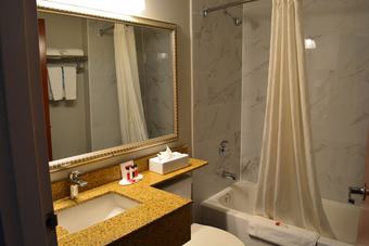 Microtel Inn & Suites By Wyndham Bwi Airport Baltimore Hotel