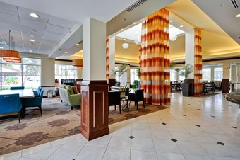 Hilton Garden Inn Tampa Northwest/oldsmar Hotel