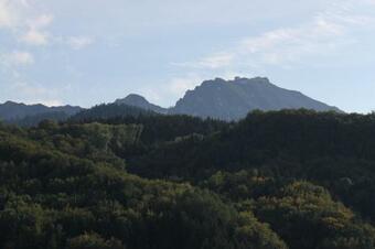 View photos