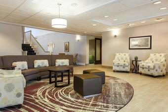 Homewood Suites By Hilton St. Petersburg Clearwater Hotel