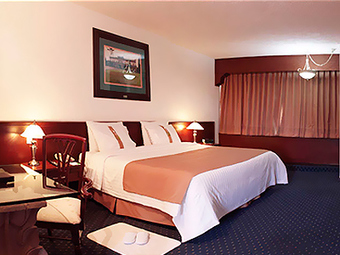 Holiday Inn San Luis Potosi-quijote Hotel