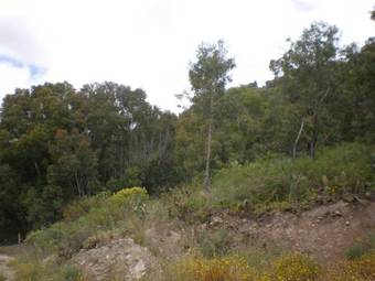 View photos