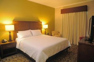 Hilton Garden Inn Panama Hotel