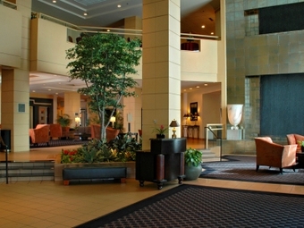 Hilton Minneapolis St.paul Airport Mall Of America Hotel