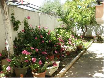 View photos